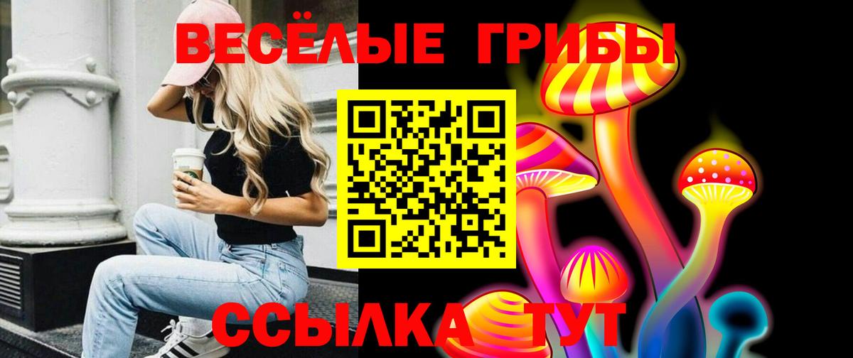 Псилоцибиновые грибы Magic Shrooms  Галлюциногенные грибы Cubensis  Гуково  Вход с VPN 