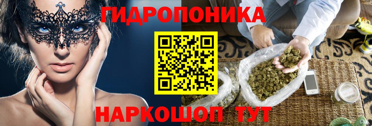 Каннабис планчик  Конопля THC 21%  Гуково  Шишки марихуана марихуана  Каннабис AK-47  Вход с VPN 